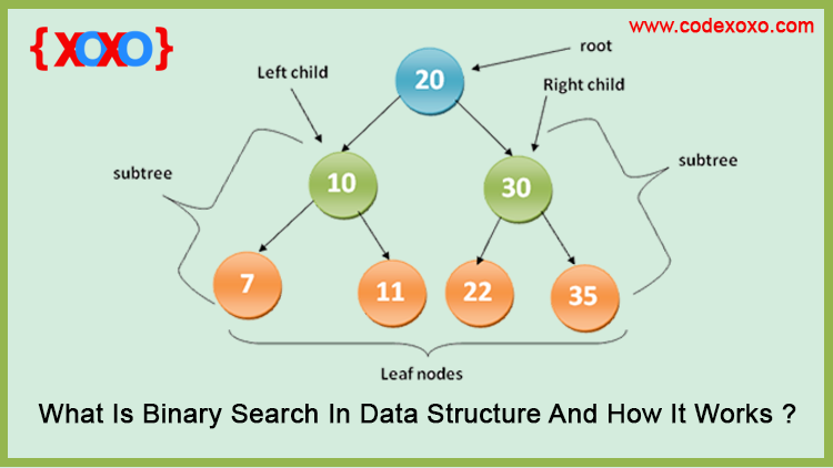 What-Is-Binary-Search-In-Data-Structure-And-How-It-Works
